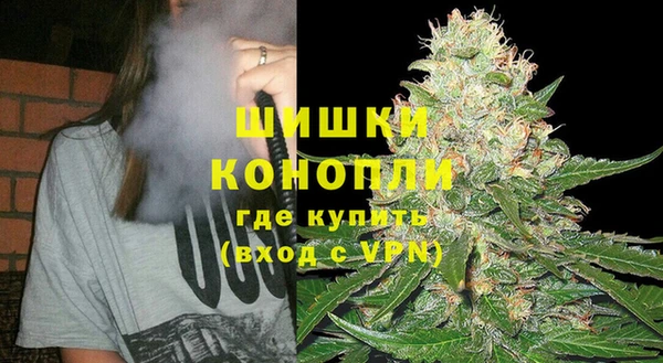 ГАЛЛЮЦИНОГЕННЫЕ ГРИБЫ Весьегонск