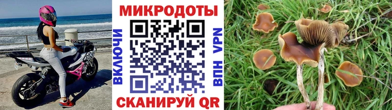 купить закладку  Нариманов  Псилоцибиновые грибы GOLDEN TEACHER 