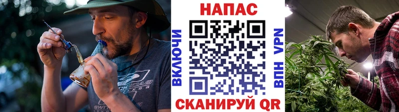 Бошки марихуана гибрид  Нариманов 